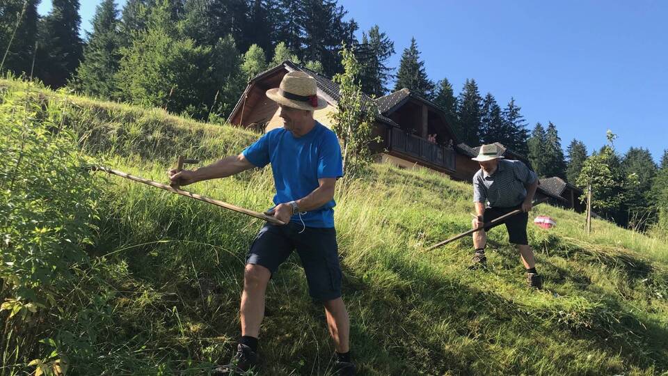 Košnja po starem 2025