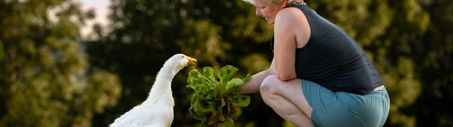 Kamn'&scaron;ka doživetja