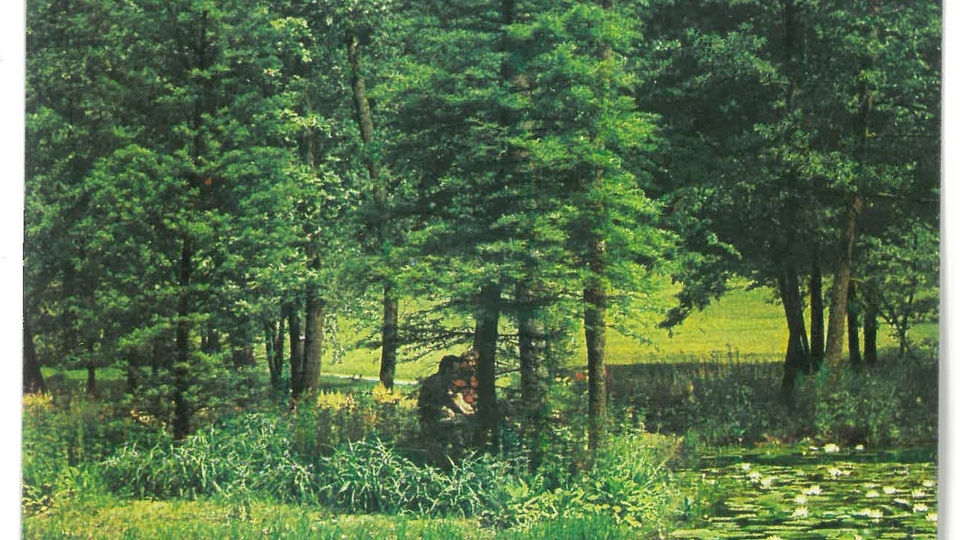 Iščemo fotografije Arboretuma Volčji Potok iz prejšnjega stoletja