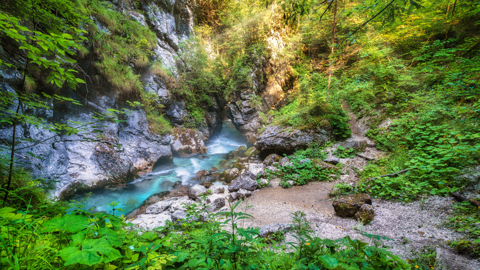 Naslovna fotografija za: Kamnik že tretjič zlata turistična destinacija