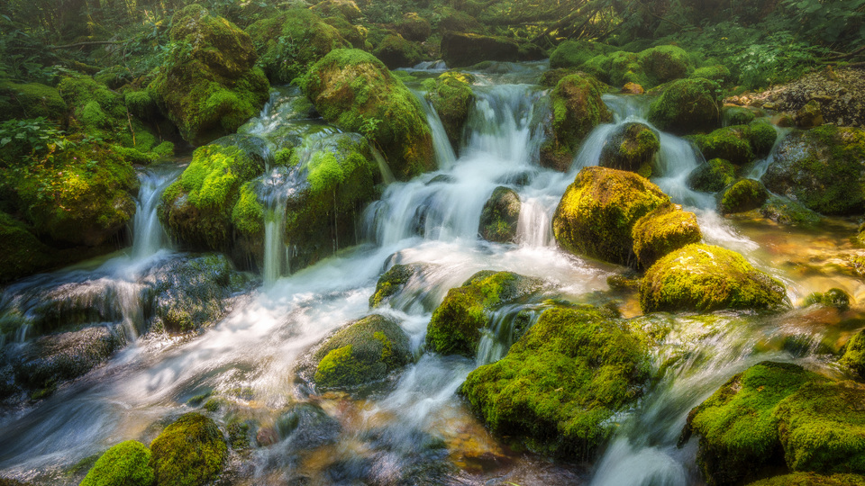 Naslovna fotografija za: Svetovni dan Zemlje