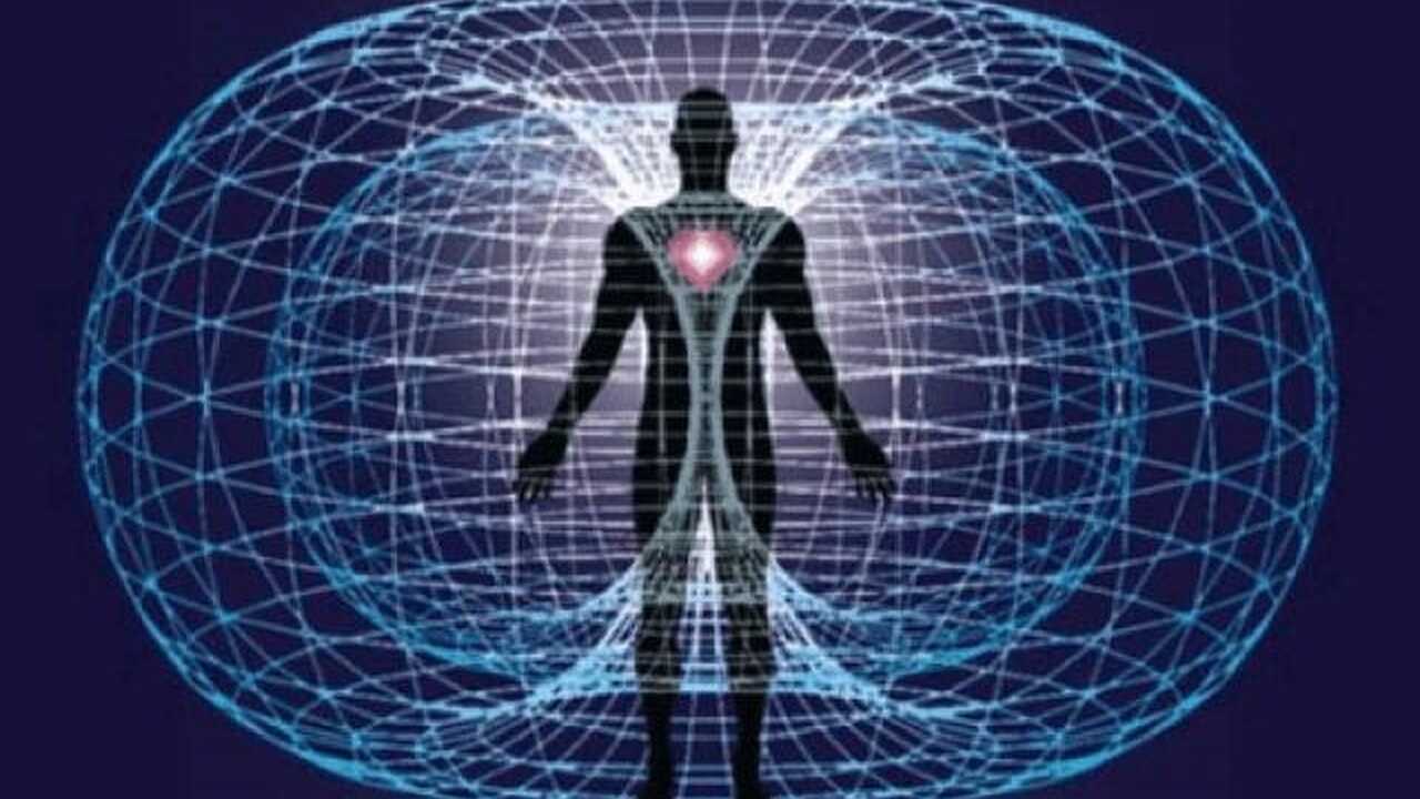 Tokovi telesa in duhovni ustroj, delavnica