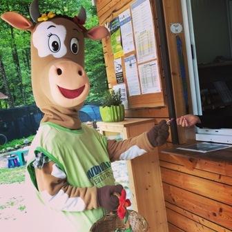 Kravica Velika planina