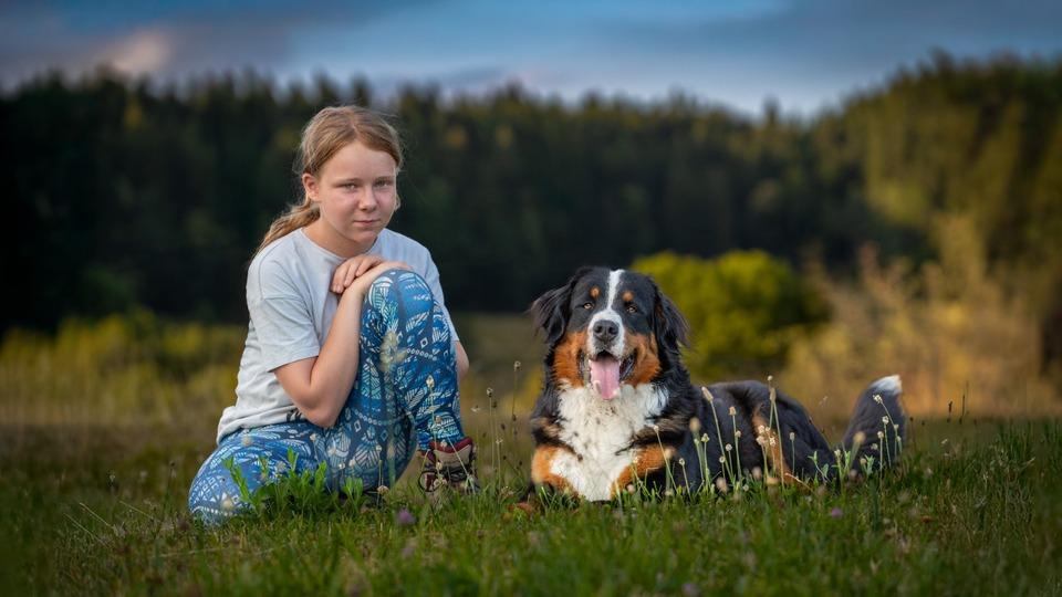 Fotografija v galeriji #3 