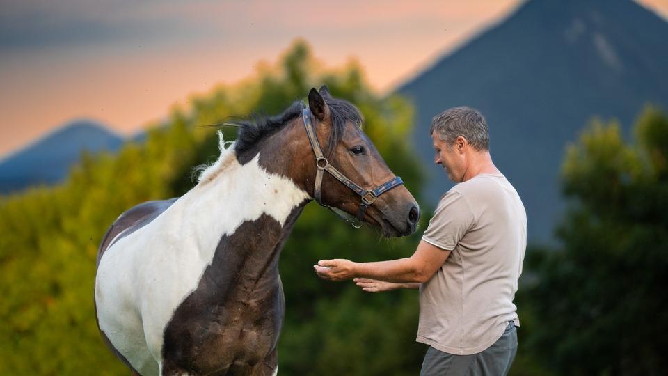 Fotografija v galeriji #4 