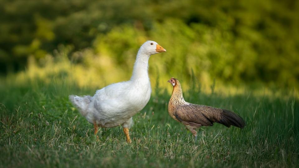 Fotografija v galeriji #8 